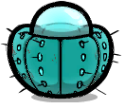 Hydrocactus